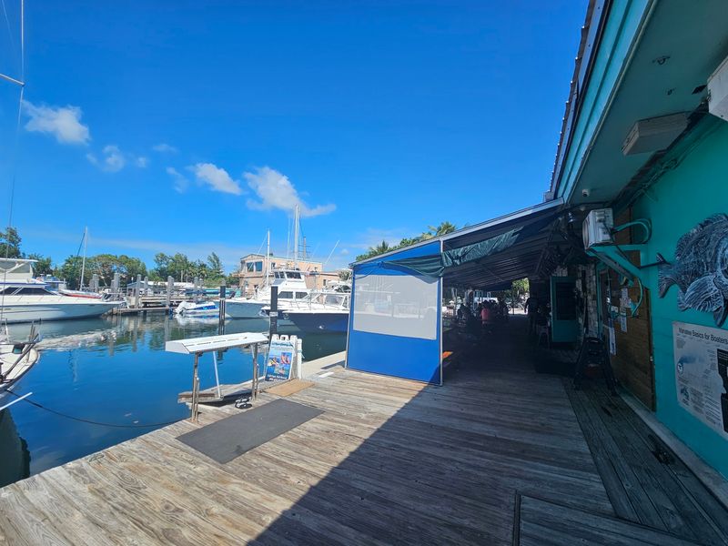 Breezy Tiki Vibes and Marina Surprises