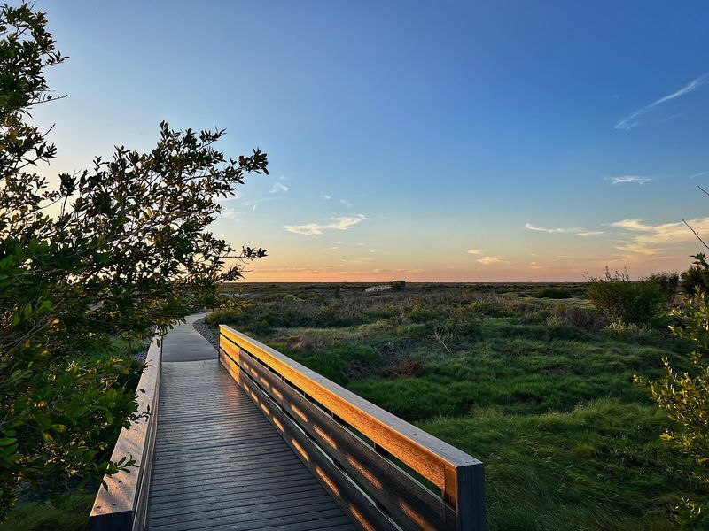 The Dragonfly Trail's Unexpected Beauty
