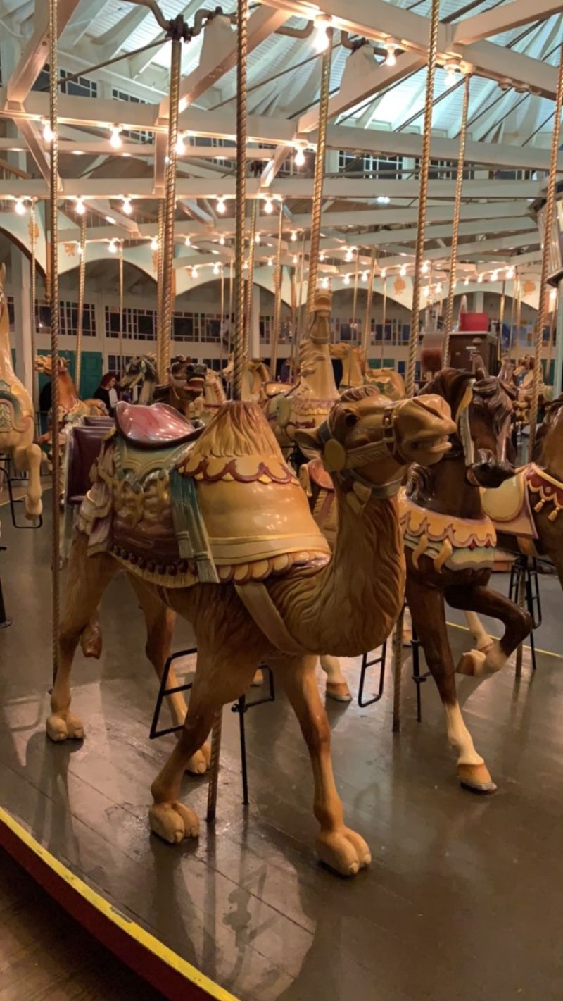Save Some Energy For Rides And Storyland