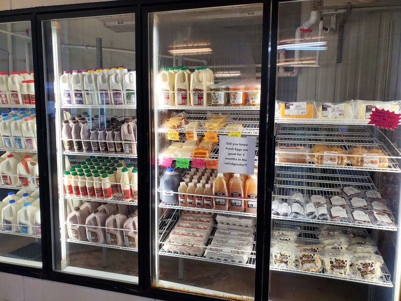 Scoops, Shakes, and That Famous Chocolate Milk