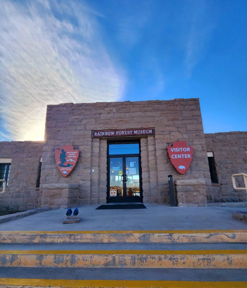 Explore Prehistoric Fossils At The Southern Museum