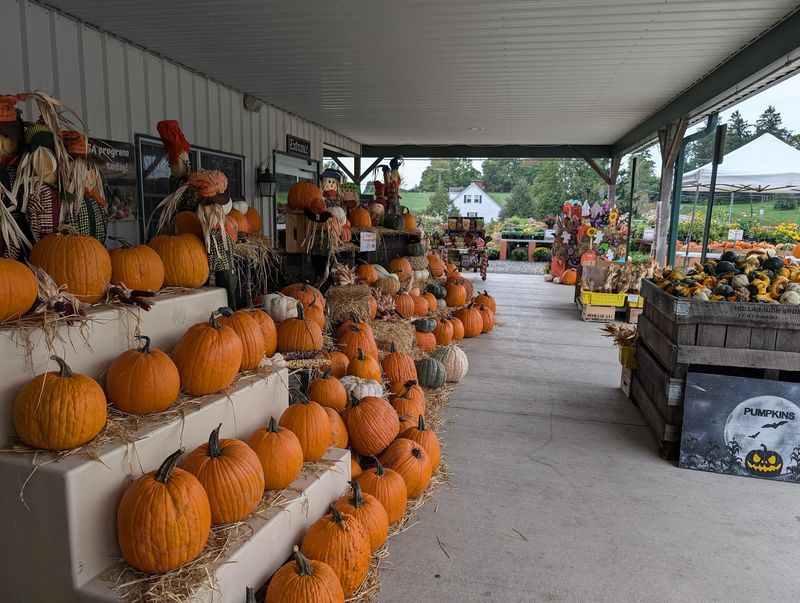 Festivals, Wagon Rides, and Hands-On Classes