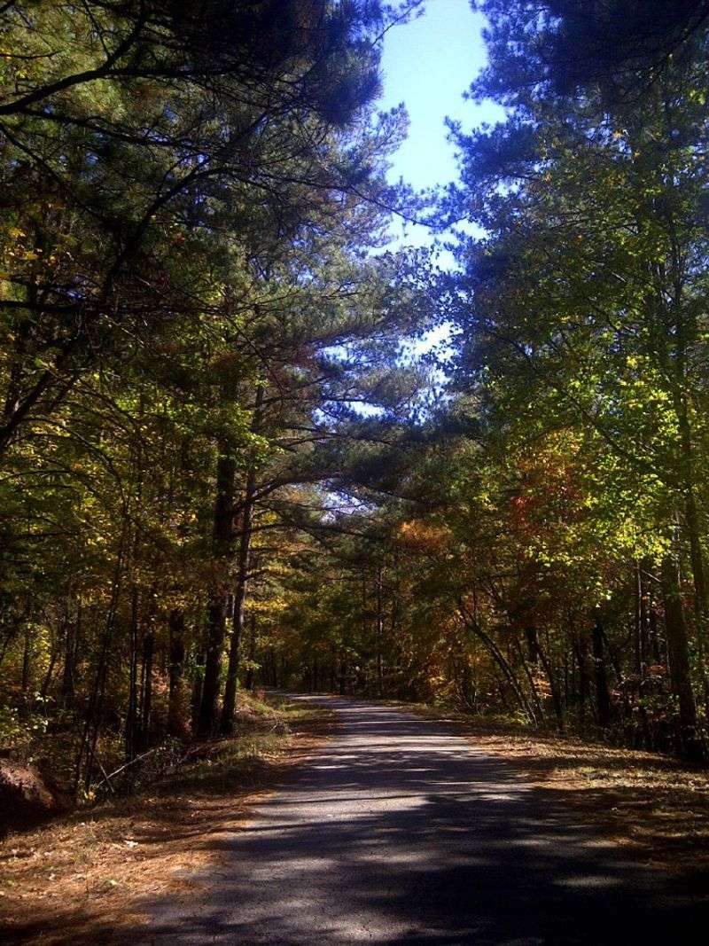 Dawson County