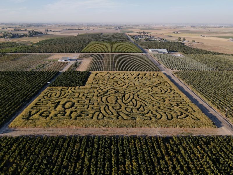 Two Twisting Trails Wait Inside Eight Acres Of Corn
