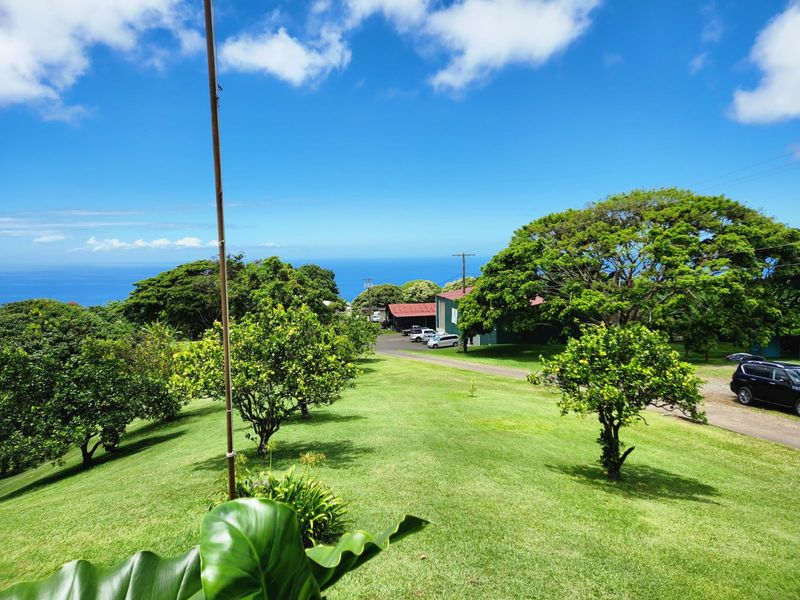 Make It An Easy Stop On Your Big Island Road Trip