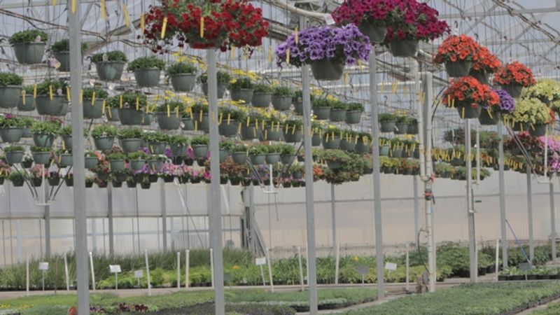A Backyard Hobby That Grew Way Out Of Control