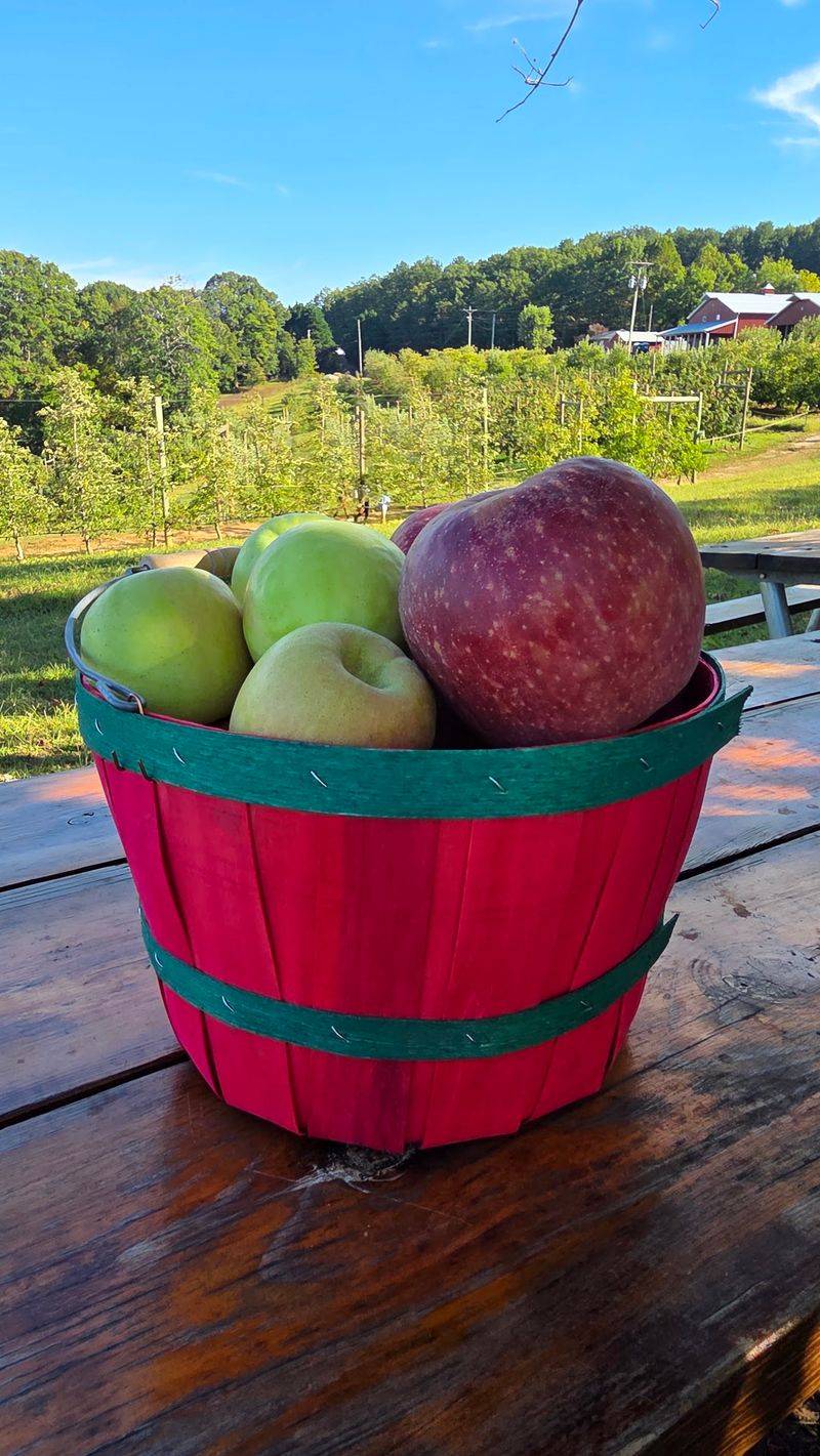 Apple Hill Orchard and Cider Mill