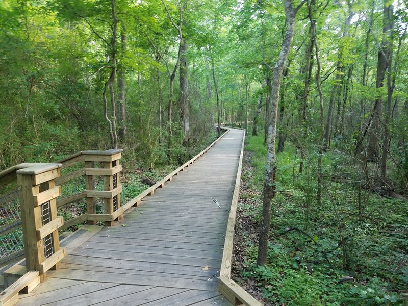 Acadiana Park Nature Station