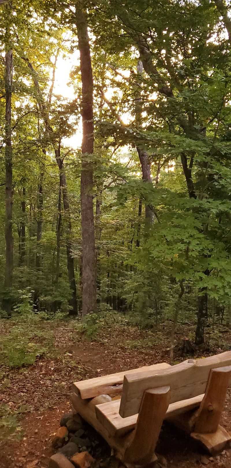 Union County