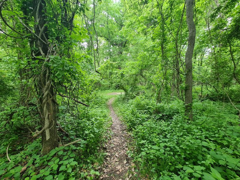 Peninsula Park, Iowa City