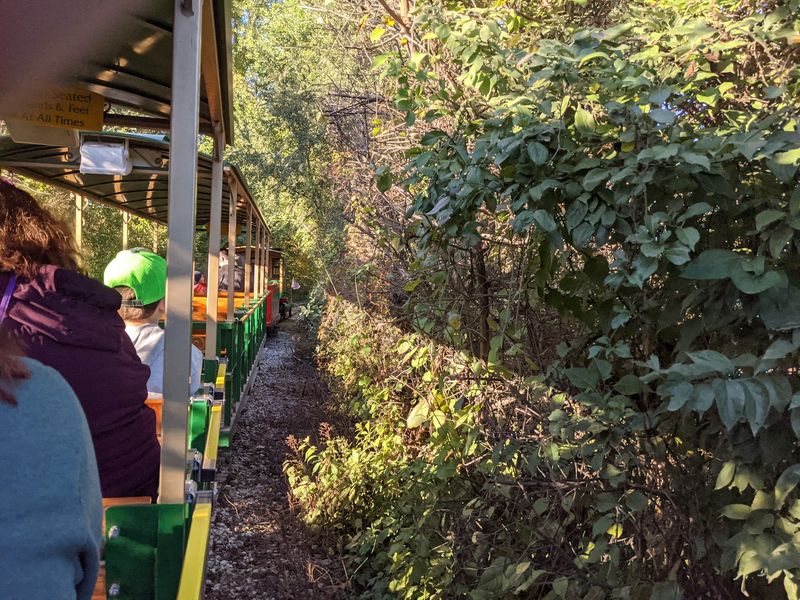 Apple Picking Adds Another Classic Fall Tradition