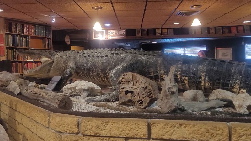 Books, Memorabilia, and One Very Big Gator