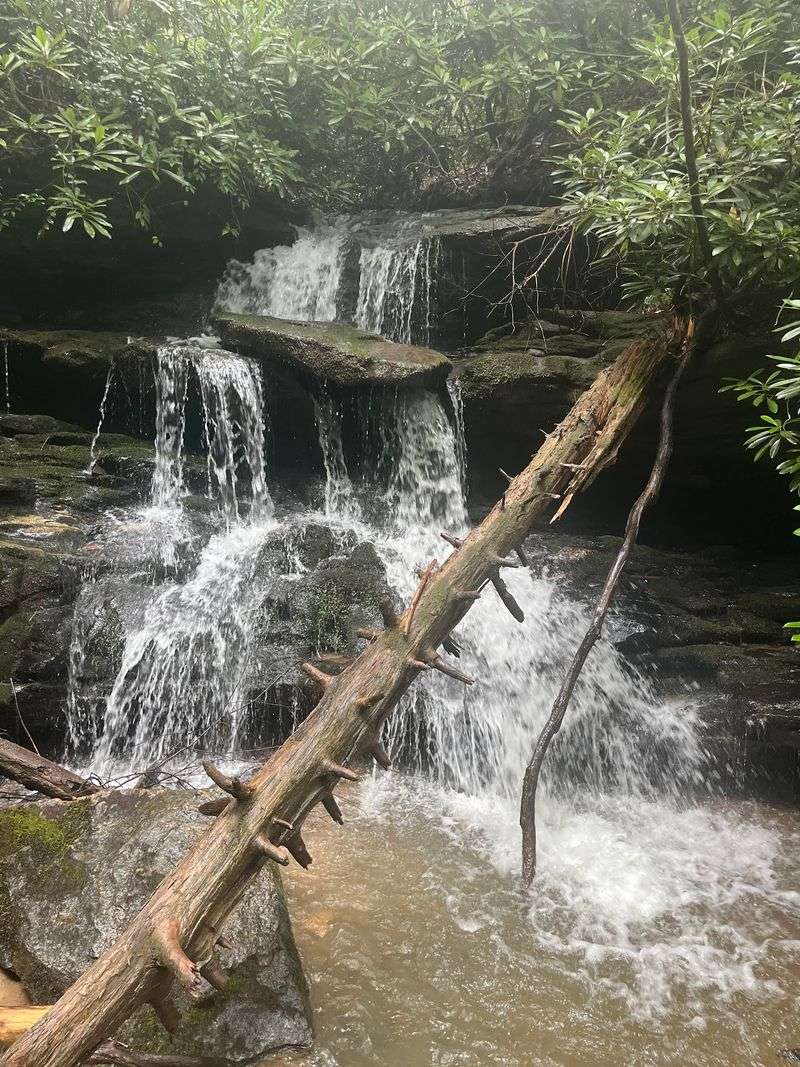 Becky Branch Falls