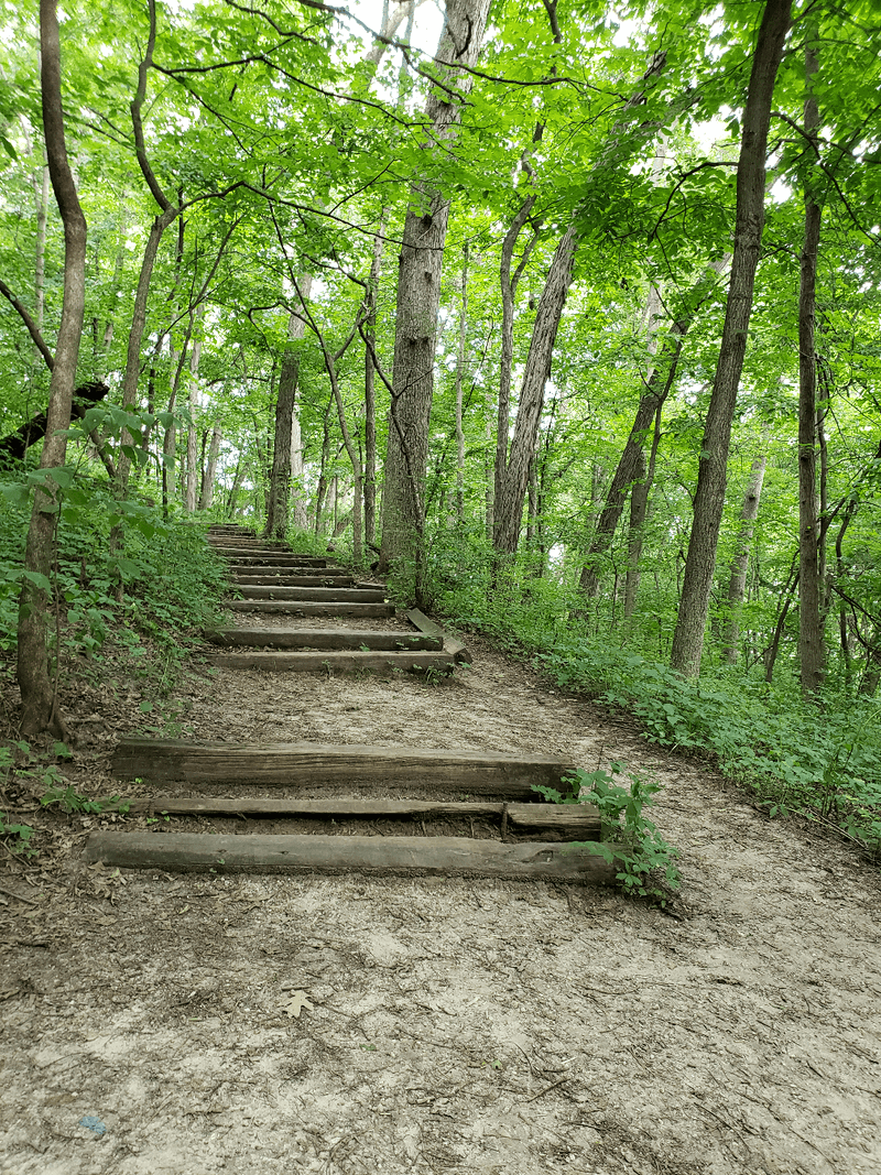 Ryerson's Woods State Preserve, Iowa City