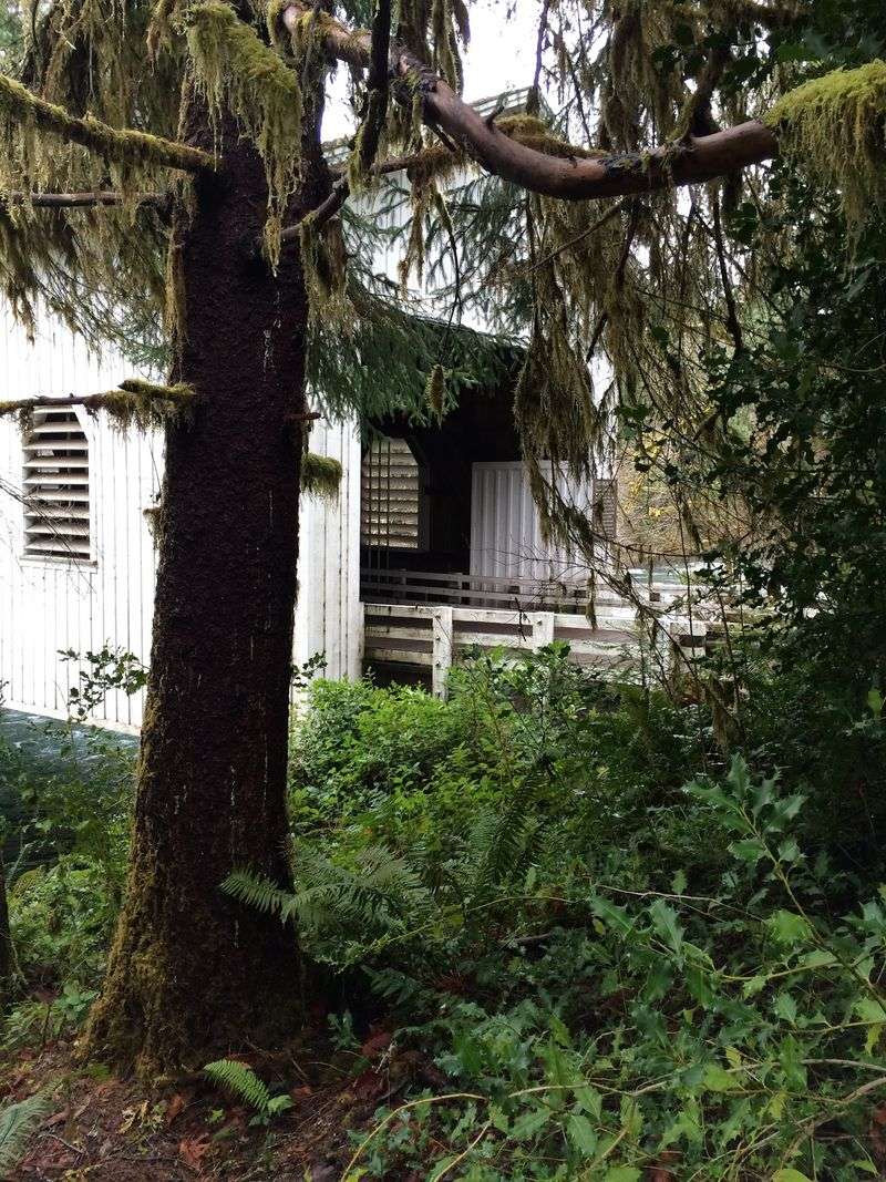 Belknap Covered Bridge