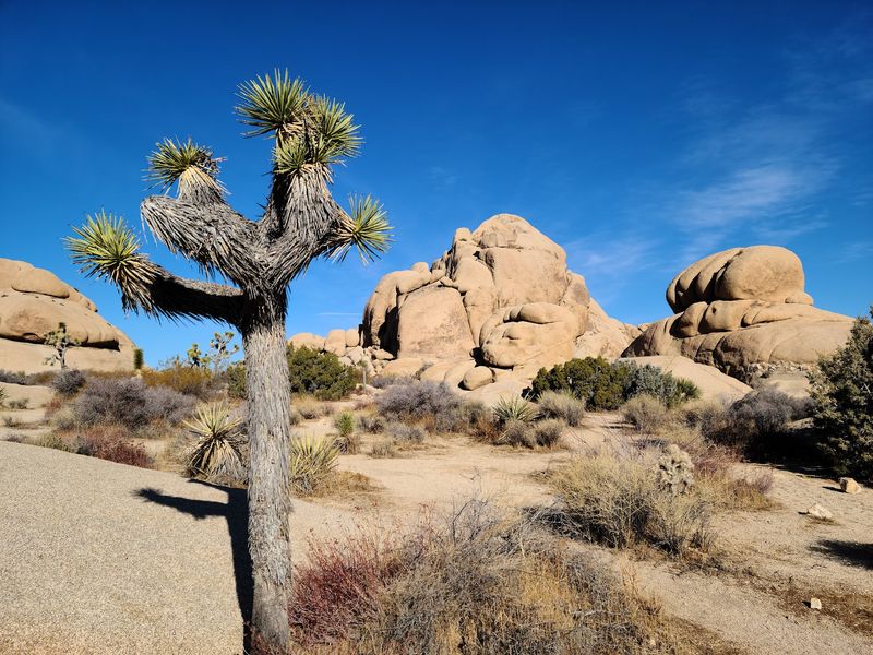 Smart Planning Makes Your Desert Getaway So Much Smoother