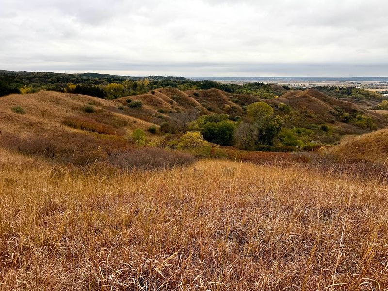 Folsom Point Preserve, Council Bluffs