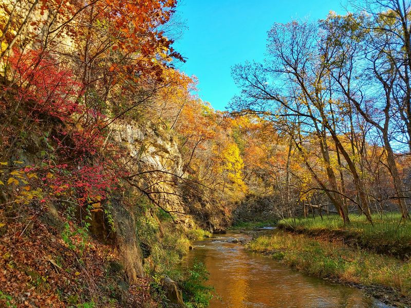 Dolliver Memorial State Park, Lehigh