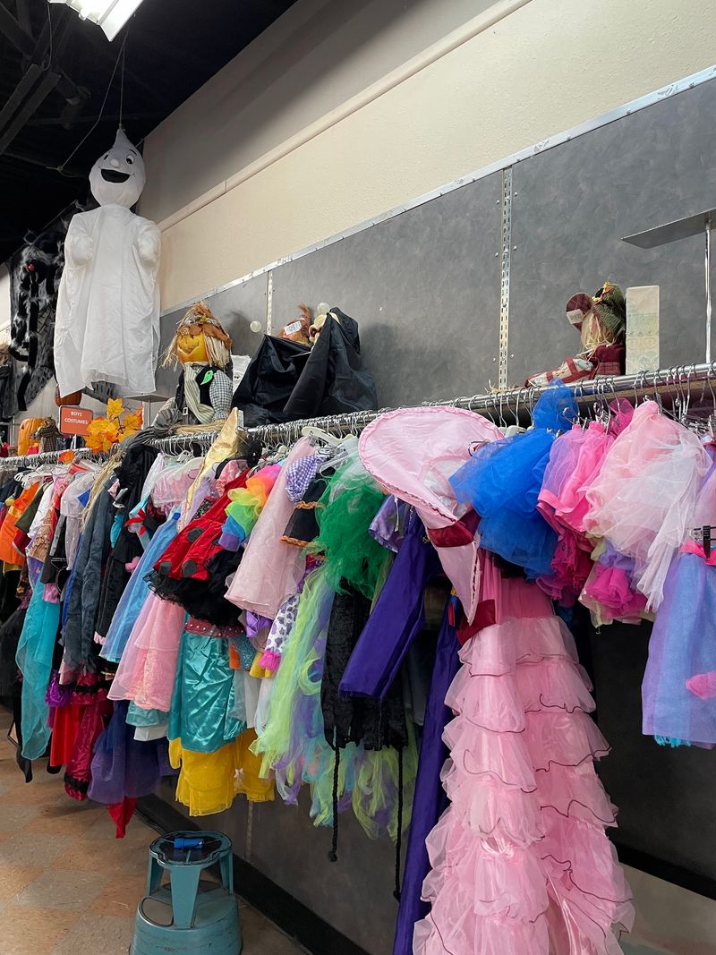 Spooky Season Costumes Without The Scary Prices