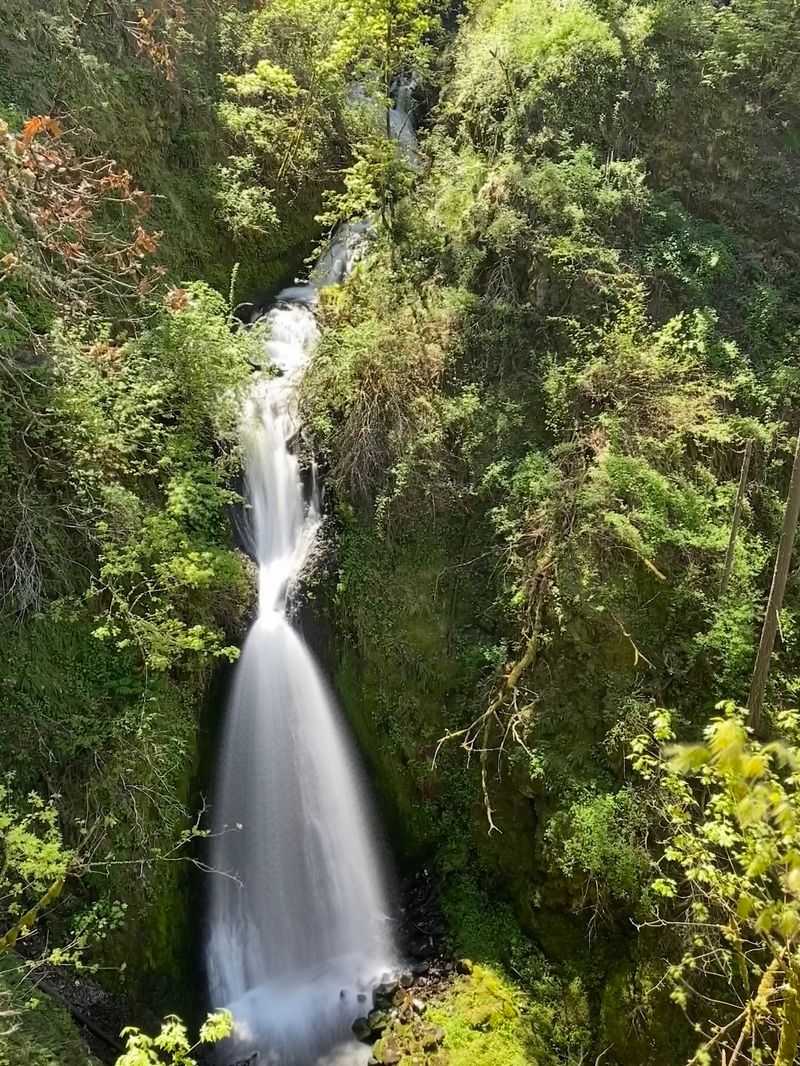Shepperd's Dell Falls