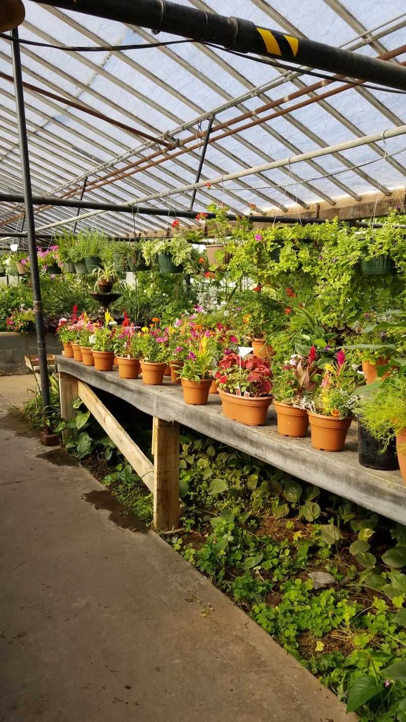 Spring And Fall Turn The Outlet Into A Gardener's Playground