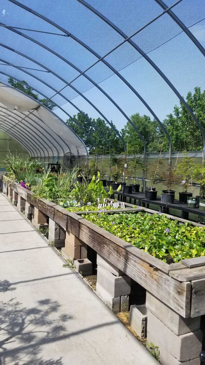 Landscaping Help And Smart Timing For Your Trip