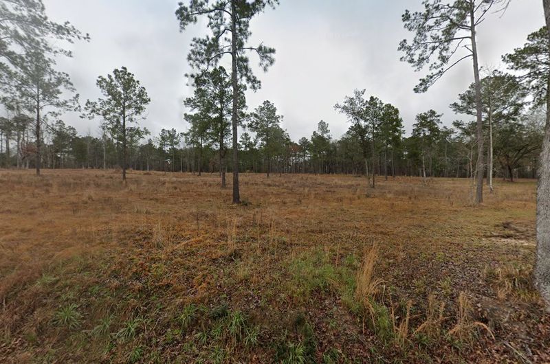 Finding Your Way To The Glenmora Pines