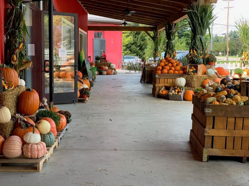 Fall Changes The Market From Tomatoes To Pumpkins And Gourds