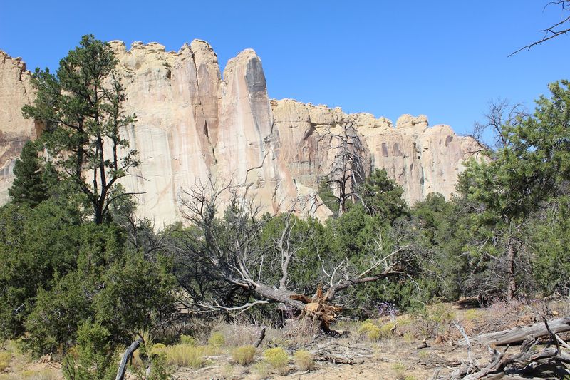 El Morro Campground, Ramah