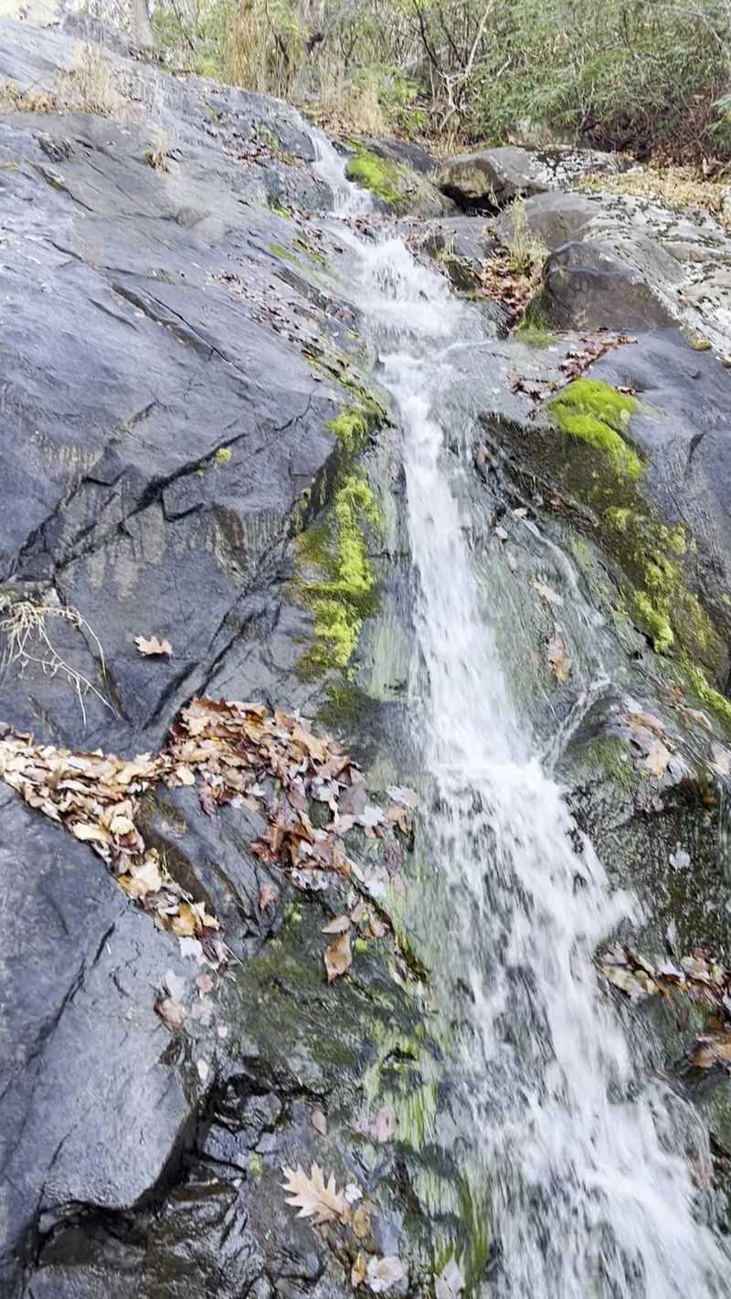 Fallingwater Creek