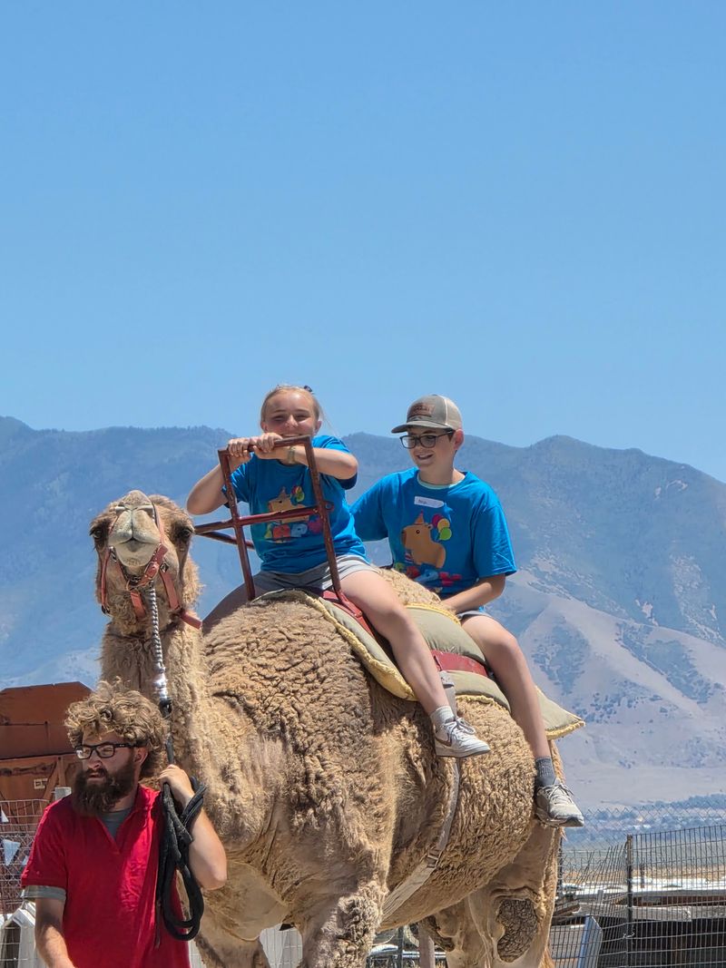 Your Kid Can Say They Rode A Camel In Utah, And Mean It