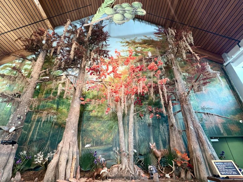 Skulls, Nests, And Crawfish Wait Indoors