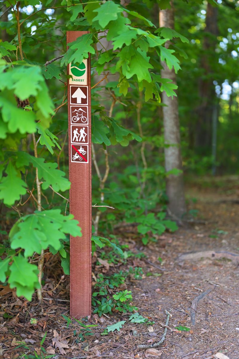 A 31-Mile Paved Trail Rolls Right Through The Park