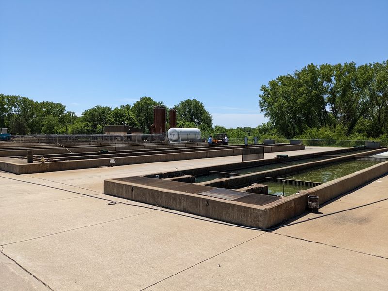 Thousands Of Future Fish Are Growing Right Next Door