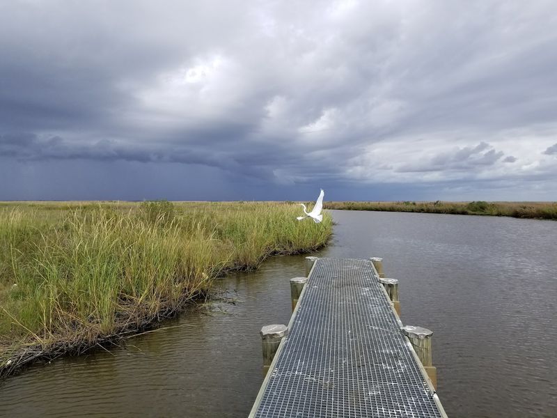 Rockefeller Wildlife Refuge