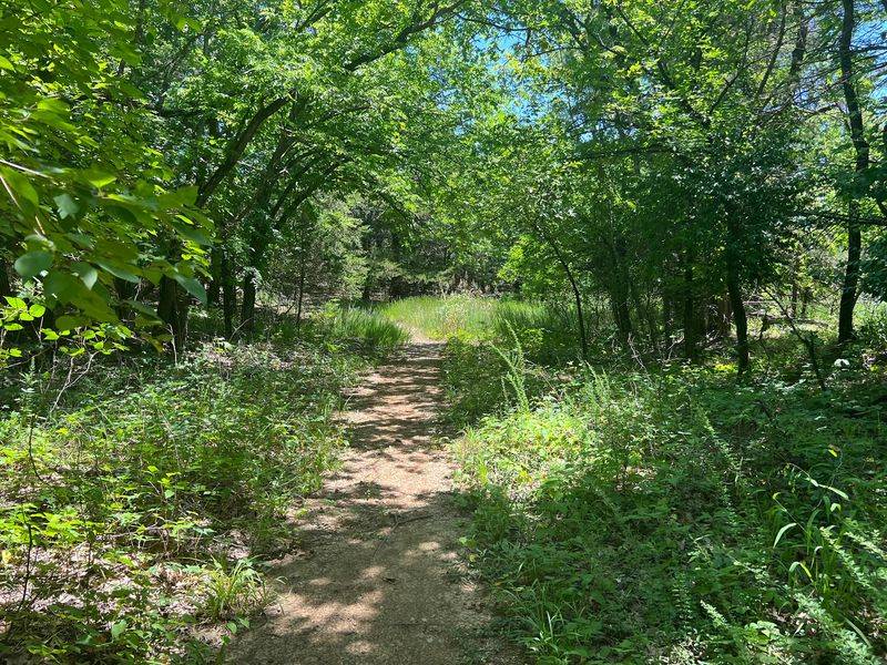 Pedal Hard On Eagle Rock's Mountain Bike Path