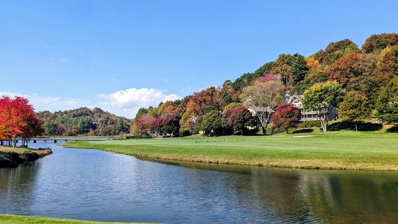 Nearby Trails Put The Forest Within Easy Reach