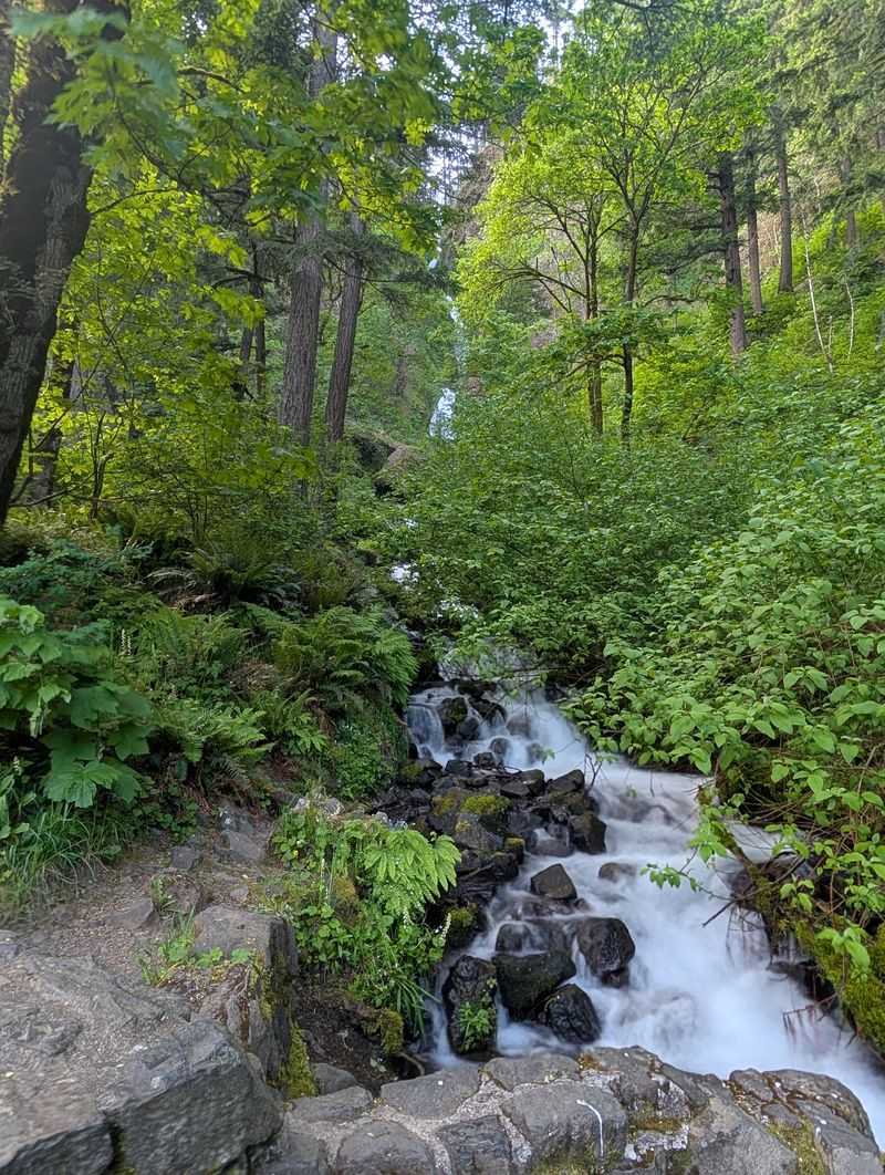 Wahkeena Falls