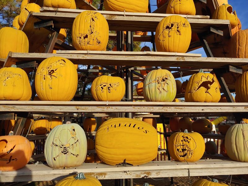 Little Explorers Get Their Own Corner Of Fall Fun