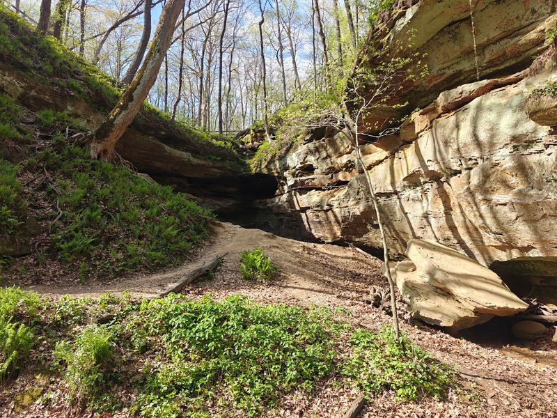 Wildcat Den State Park, Muscatine