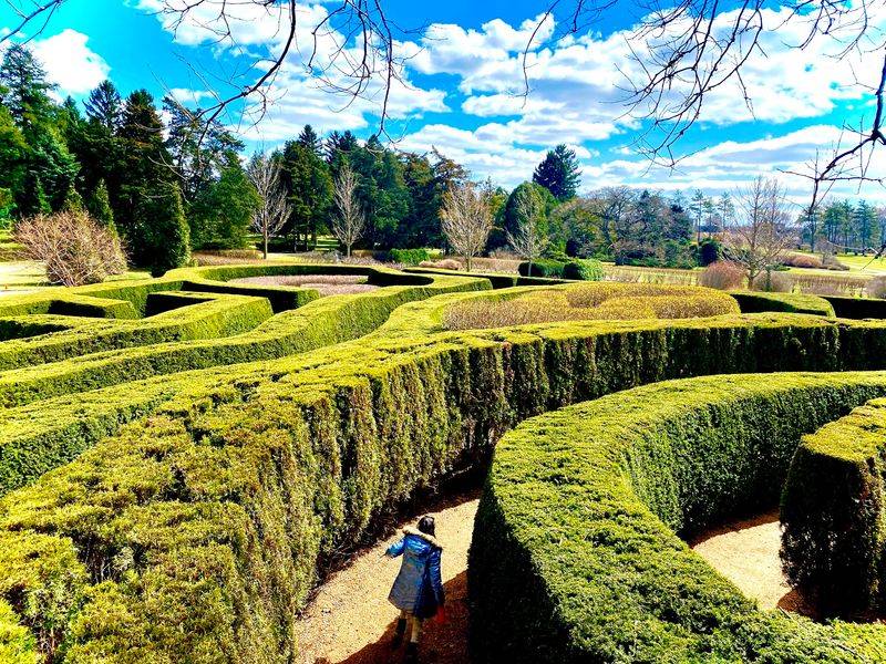 Kids Get A Giant Acorn, And Adults Get A Maze