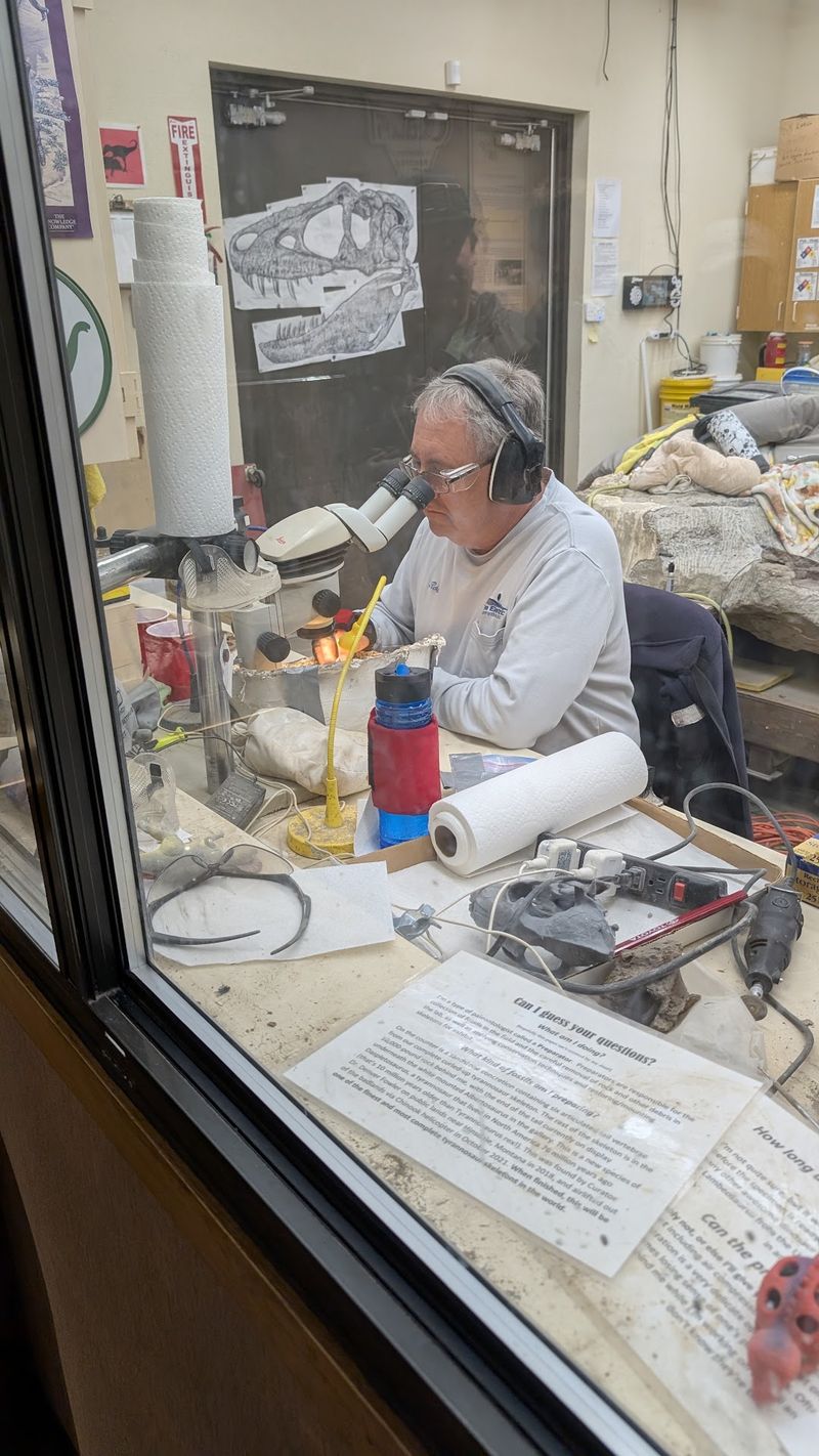 Watch Paleontologists Work Behind The Glass