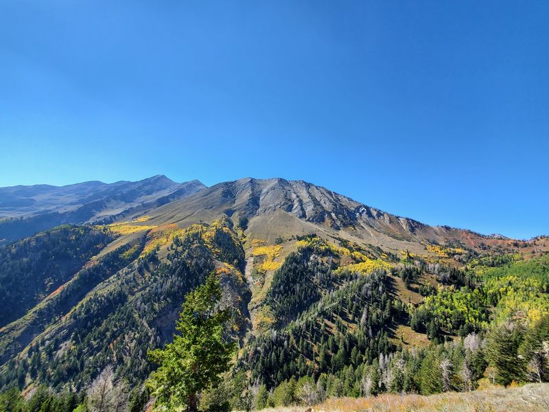 Nebo Loop National Scenic Byway