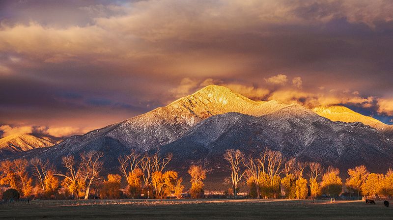 Taos County
