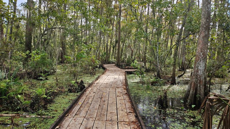 Jean Lafitte National Historical Park and Preserve - Barataria Preserve