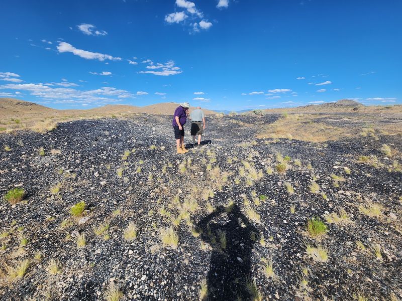 A Black Spring Search Works At Your Own Pace