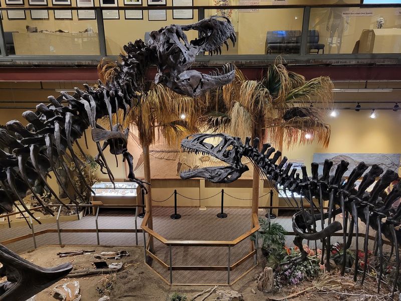 Glendive Dinosaur And Fossil Museum