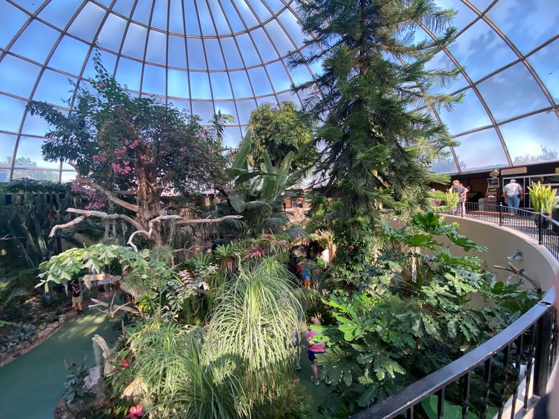 The Sky Dome Jungle Will Make You Forget You're In The Black Hills