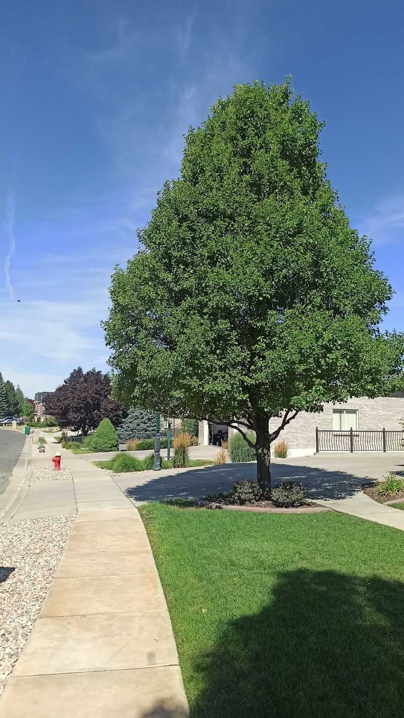 Centerville, Utah
