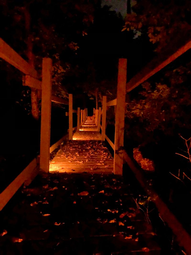 A Small Woods Trail Grew Into An Iowa Halloween Tradition
